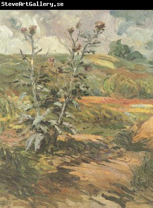 Vincent Van Gogh Two Thistles (nn04)